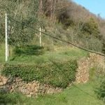 min-canaiella-home-1