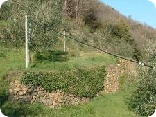 min-canaiella-home-1