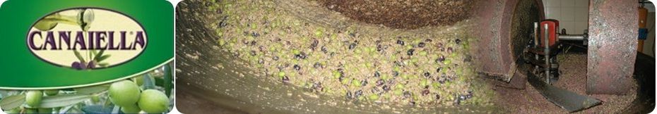 Macina in pietra olio canaiella