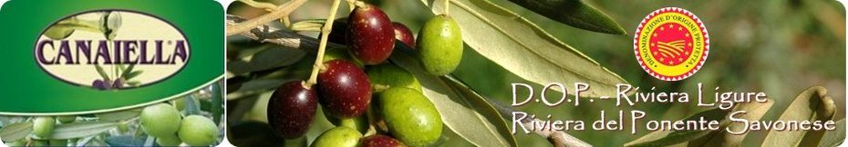 Canaiella solo olive taggiasche
